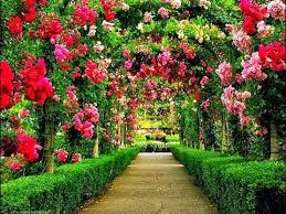 55 Most Beautiful Flower Gardens In The