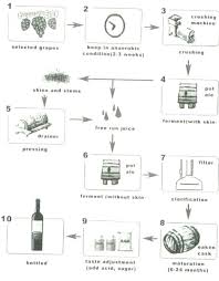 The Flow Chart Shows The Production Of Red Wine Testbig Com