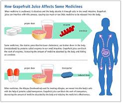 Grapefruit Drug Interactions Wikipedia