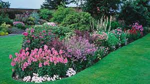 are bedding annuals sustainable andy