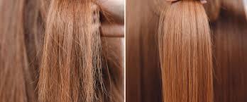 Чи корисний МСМ для росту та міцності волосся? – ДОКТОР ВЕГАН