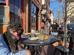 5 great places in ann arbor to dine and