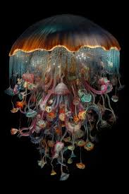 A Jellyfish Chandelier Is Made By The