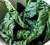Can you eat all spinach leaves?