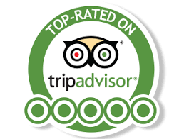 Tripadvisor Logo PNG And Icons, Free Download - Free Transparent PNG Logos