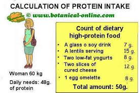 how to calculate your protein needs