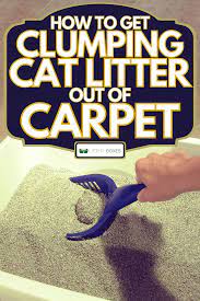 get clumping cat litter out of carpet