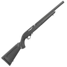 ruger 10 22 takedown target semi auto