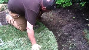 In this video i show you the steps and considerations you need to take into account when tackling your own diy sod installation in. How To Properly Prepare For And Lay Sod Youtube