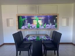 In Wall Aquarium Design Installation