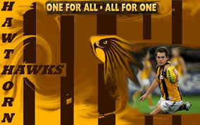 The hawthorn football club, nicknamed the hawks, is a professional australian rules football club based in mulgrave, victoria, that competes. Hawthorn Hawks Wallpapers Kolpaper Awesome Free Hd Wallpapers