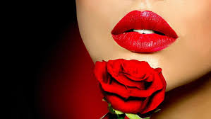 face lips lipstick makeup red rose