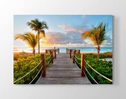 Scenic Palm Trees Landspace Wall Art