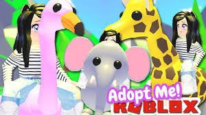 Try to undertake pets, beautify your property or discover adoption island. 110 Roblox Adopt Me Ideas Roblox Adoption My Roblox