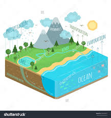 Water Cycle Diagram Rain Tree Soil Precipitation