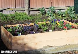 Macrocarpa Raised Garden Bed Grabone Nz