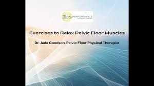 pelvic floor muscles