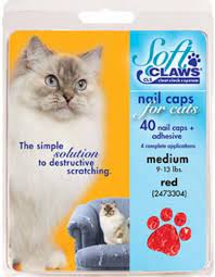 cat nail caps why use them and how to