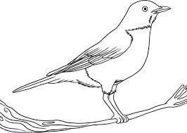 Please, do not forget to link to robin png logo page for attribution! Robin Coloring Pages Best Coloring Pages For Kids Bird Coloring Pages Robin Drawing Animal Coloring Pages
