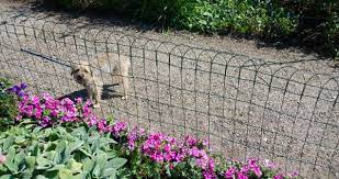 30 Dog Fence Ideas And Designs
