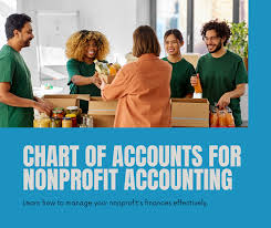 chart of accounts for nonprofits guide