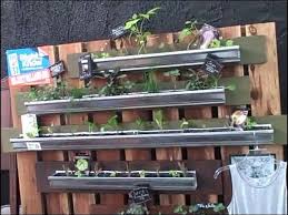 vertical gardening in rain gutters so