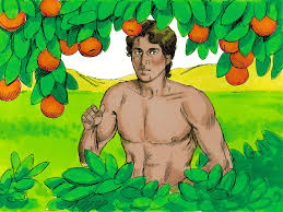 what did adam and eve do in the garden