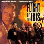 Flight of the Ibis