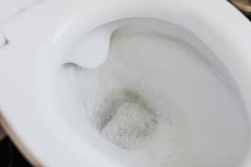 How To Remove Rust From Your Toilet