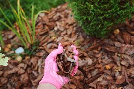 How To Mulch Your Garden With Organic Mulch