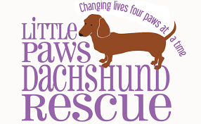 They have a listing of email contacts posted on the website. Little Paws Dachshund Rescue