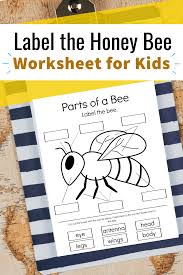 All of these body parts can be divided up into smaller parts which have their own names. Free Printable Parts Of A Bee Preschool Worksheet