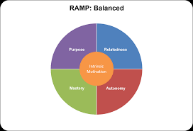 Intrinsic Motivation RAMP Misconceptions | by Andrzej Marczewski |  gamifieduk | Medium
