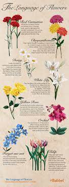Check spelling or type a new query. The Language Of Flowers Language Of Flowers Daisy Flower Meaning Flower Meanings