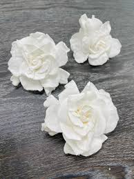 Real White Gardenia Blooms 3 Preserved