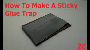 sticky glue trap for pests and insects