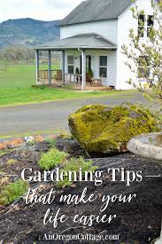 21 Organic Gardening Tips To Make Your