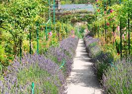 Beautifying Your Pathways Garden