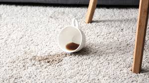 coffee stains out of your carpet