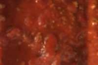 meatloaf spaghetti sauce recipe food com
