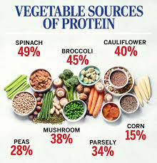 10 high protein vegetable foods to try