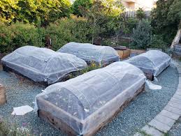 row covers for garden pest control