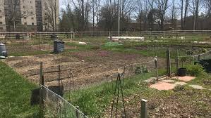 City Working To Open Community Gardens