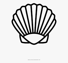 They vary in shapes, sizes and have fascinating color combinations. Sea Shells Coloring Page Bilscreen