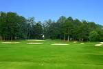 Lake Spivey Golf Club | Official Georgia Tourism & Travel Website ...