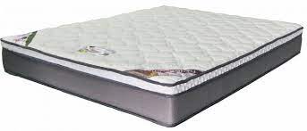 We have a hospitality division we export to multiple overseas… Sleepy Night Comfort Pedic Pocketed Spring Mattress Mattress Singapore Bedroom Furniture Sg Bedandbasics