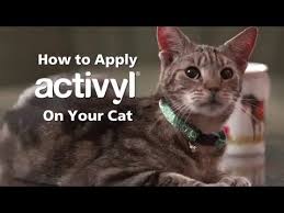 Activyl Spot On For Cats Kittens 2 To 9 Lbs 3 Month