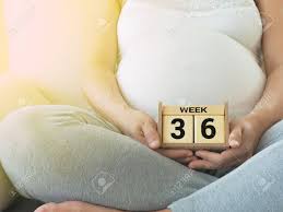 Calendar With Weeks 36 Of Pregnant With Pregnancy Woman Background