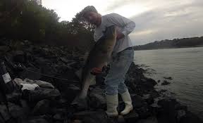 Cape Cod Canal Tides Understand Them To Catch More Fish