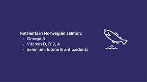 norwegian seafood council
